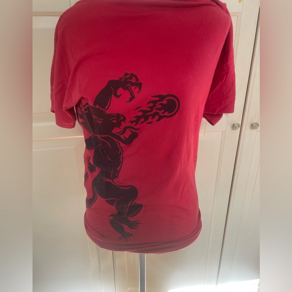 Fireball whiskey tshirt